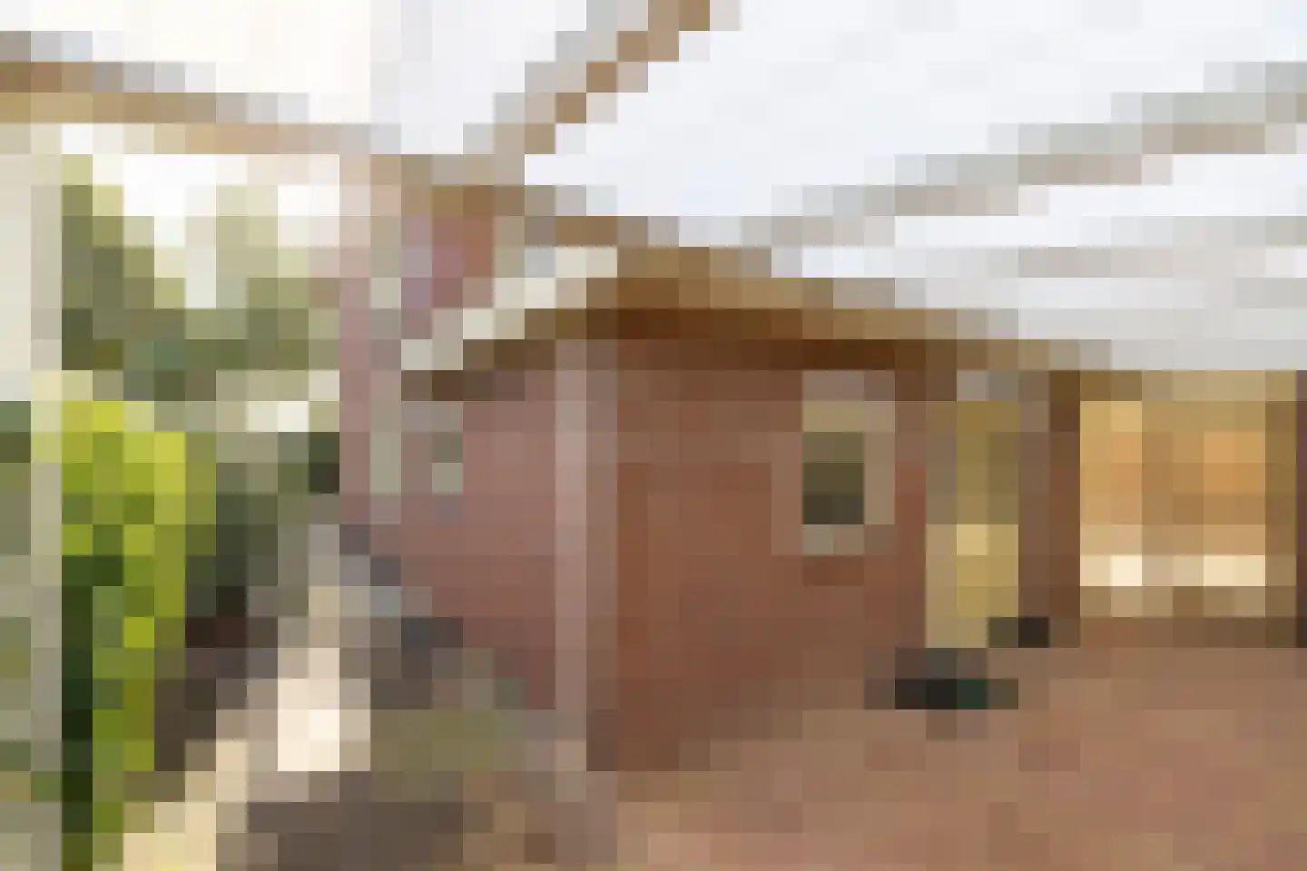 Julianastraat 8 Wehl thumbnail 30