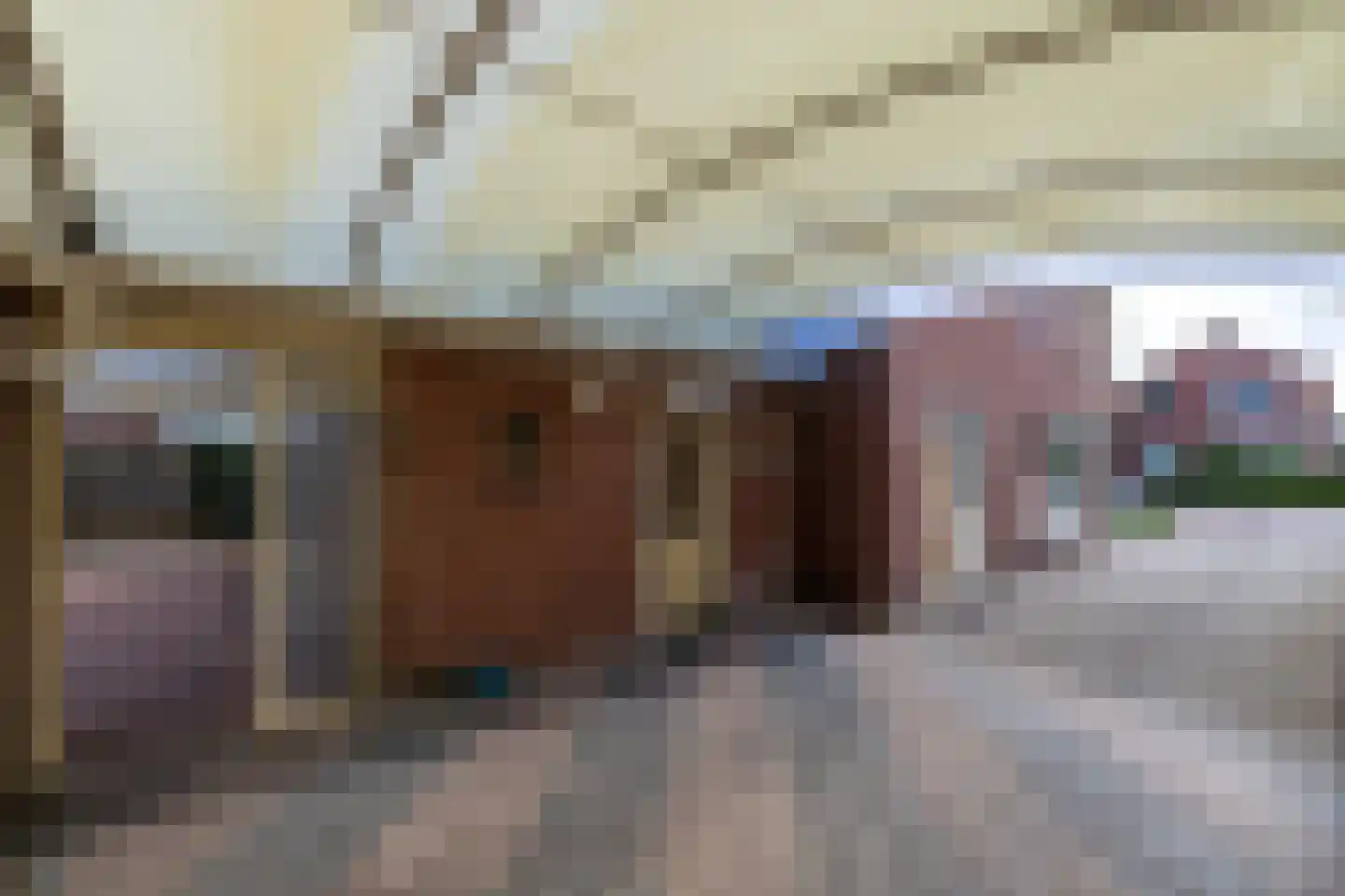 Julianastraat 8 Wehl thumbnail 31