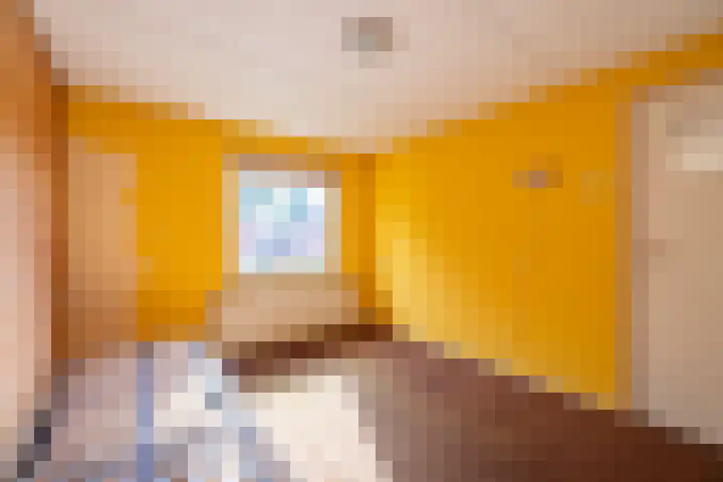 Julianastraat 8 Wehl thumbnail 39