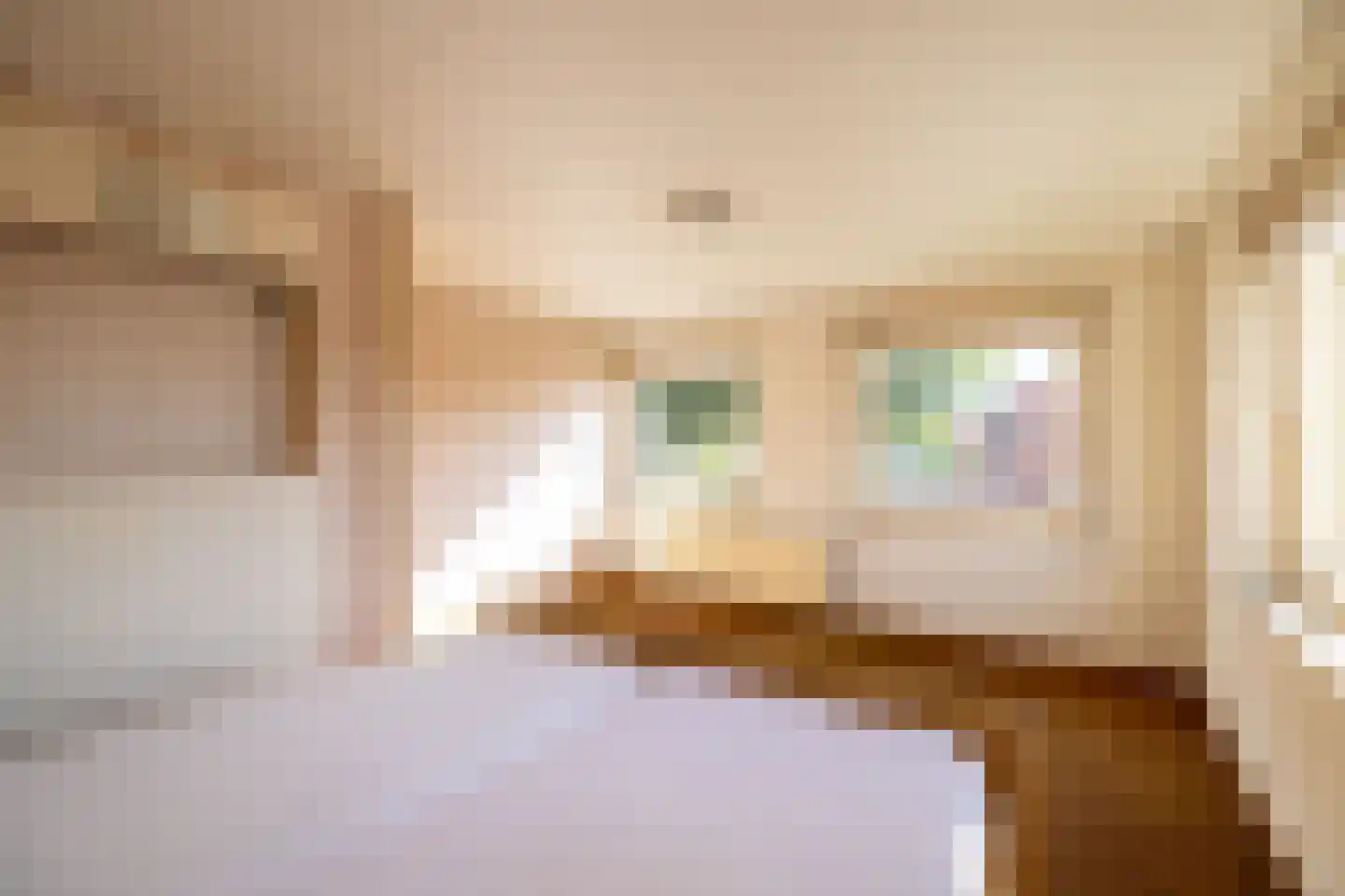 Julianastraat 8 Wehl thumbnail 43