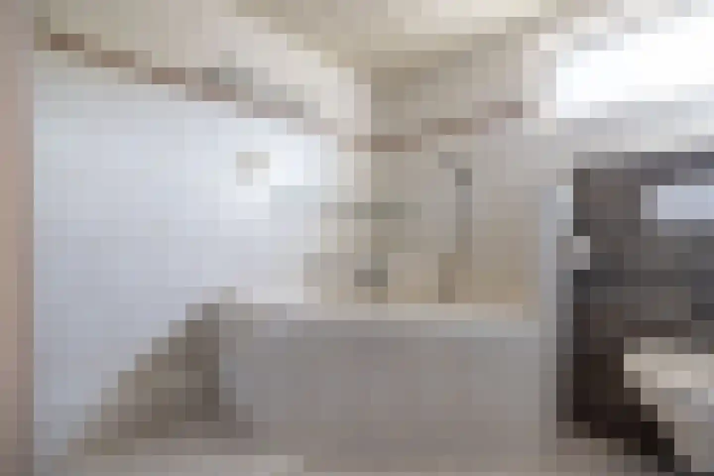 Julianastraat 8 Wehl thumbnail 44