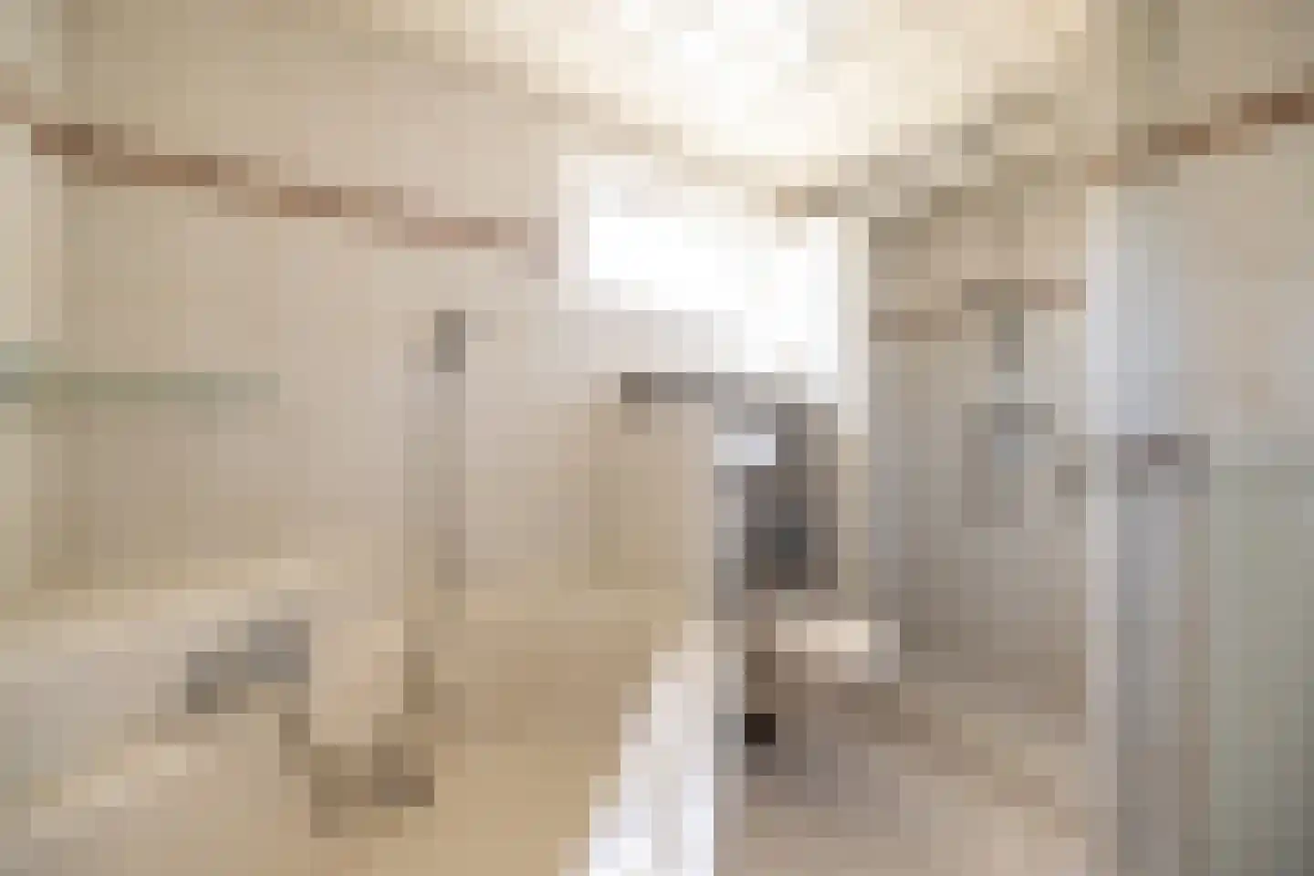 Julianastraat 8 Wehl thumbnail 45