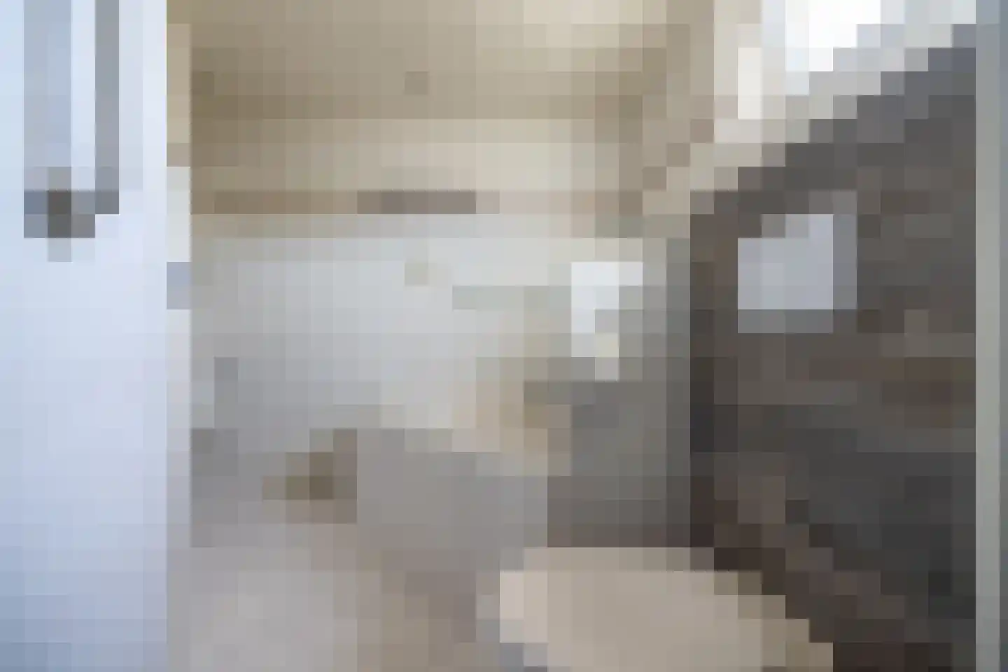 Julianastraat 8 Wehl thumbnail 48