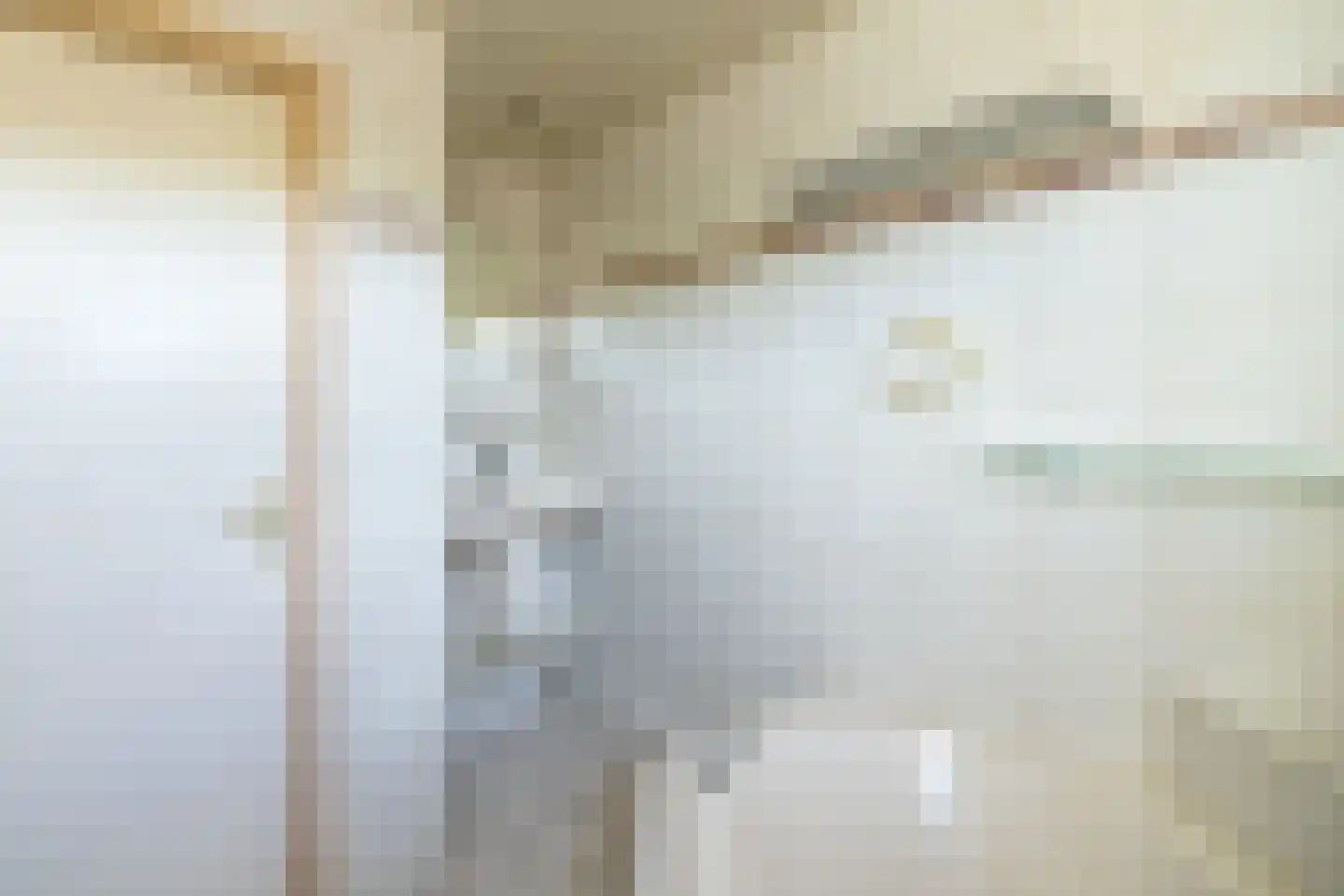 Julianastraat 8 Wehl thumbnail 49
