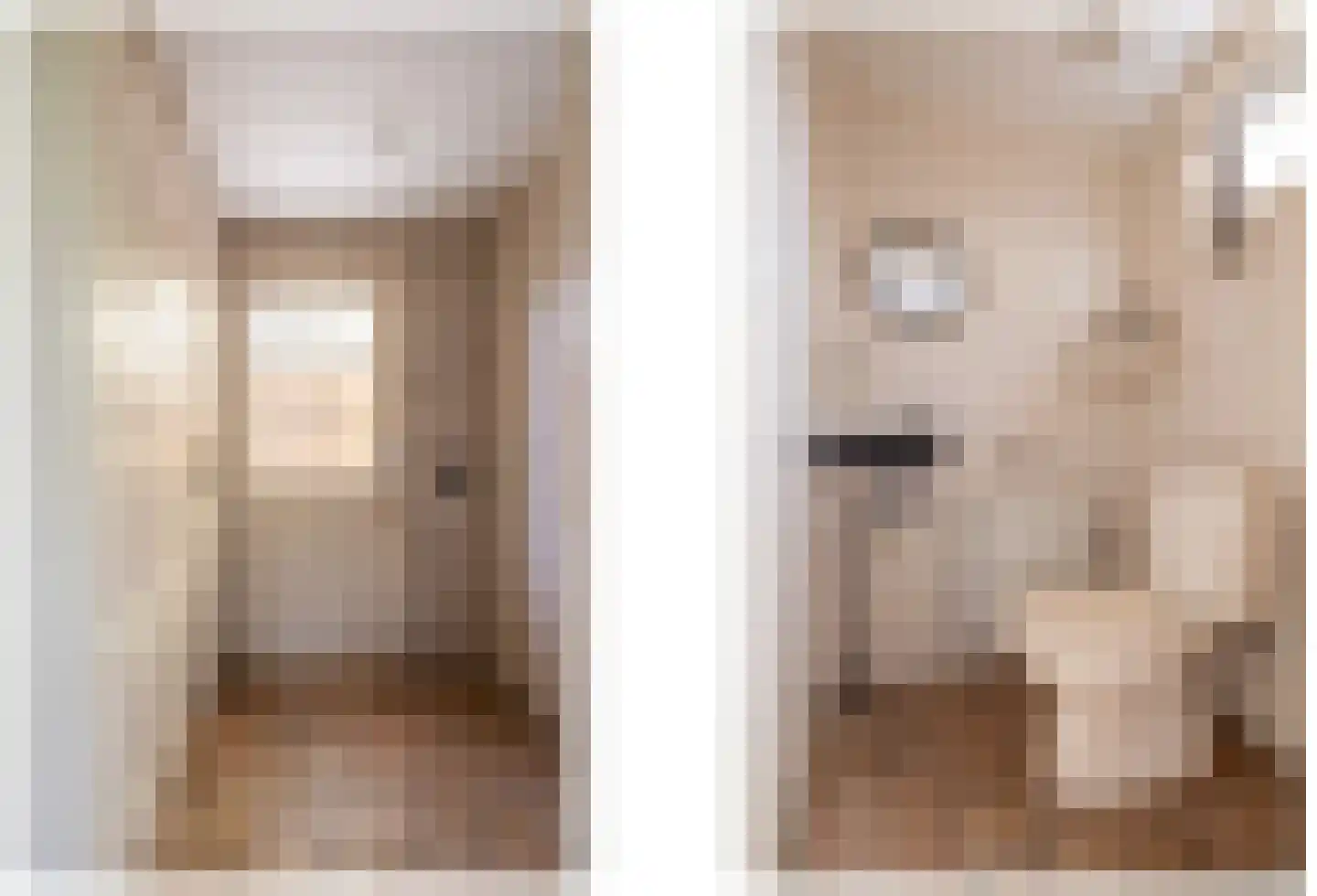 Julianastraat 8 Wehl thumbnail 51