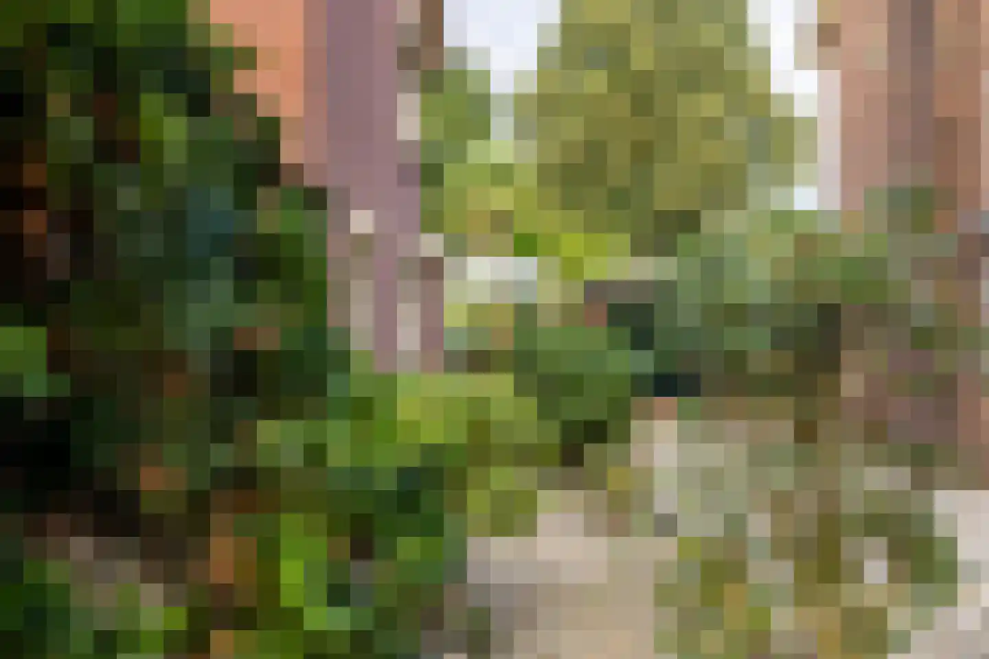 Julianastraat 8 Wehl thumbnail 54