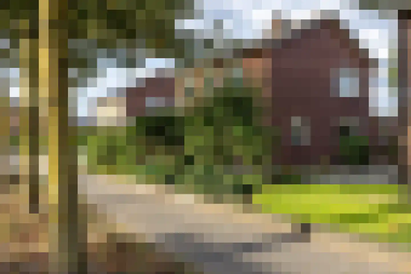 Julianastraat 8 Wehl thumbnail 55