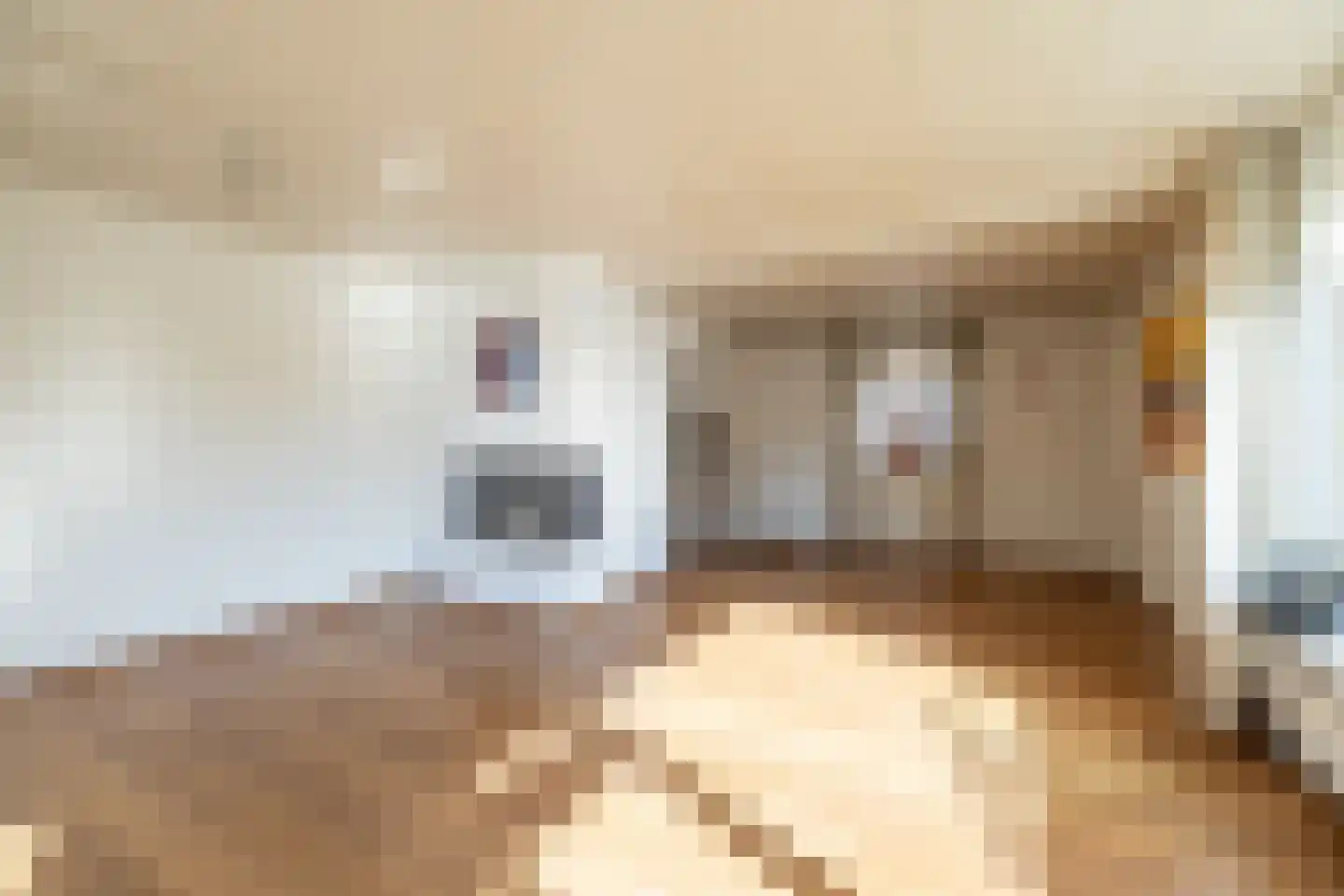 Julianastraat 8 Wehl thumbnail 6