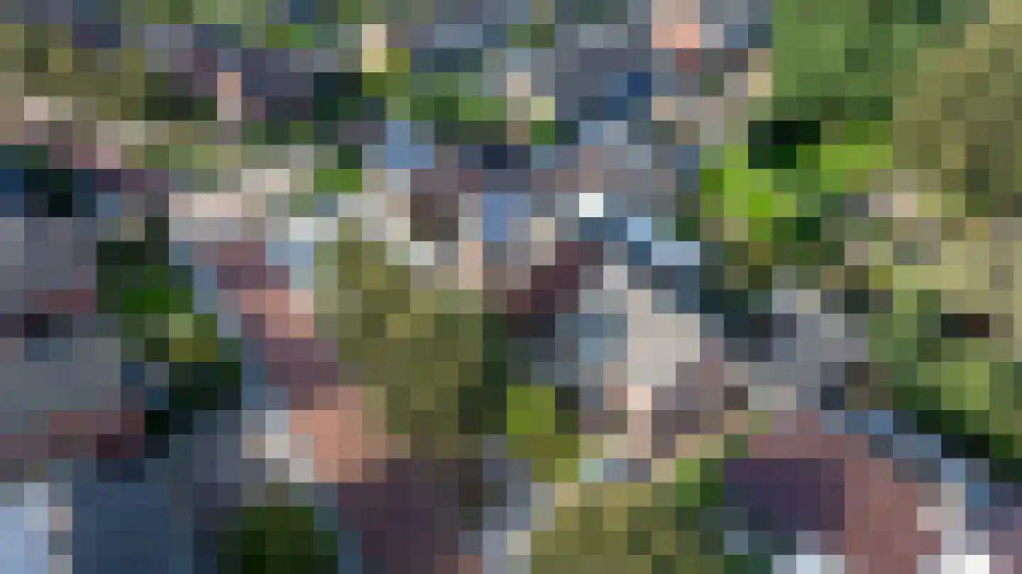 Julianastraat 8 Wehl thumbnail 60