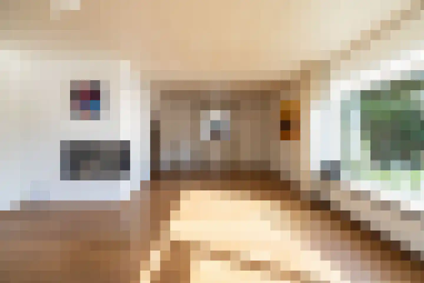 Julianastraat 8 Wehl thumbnail 9