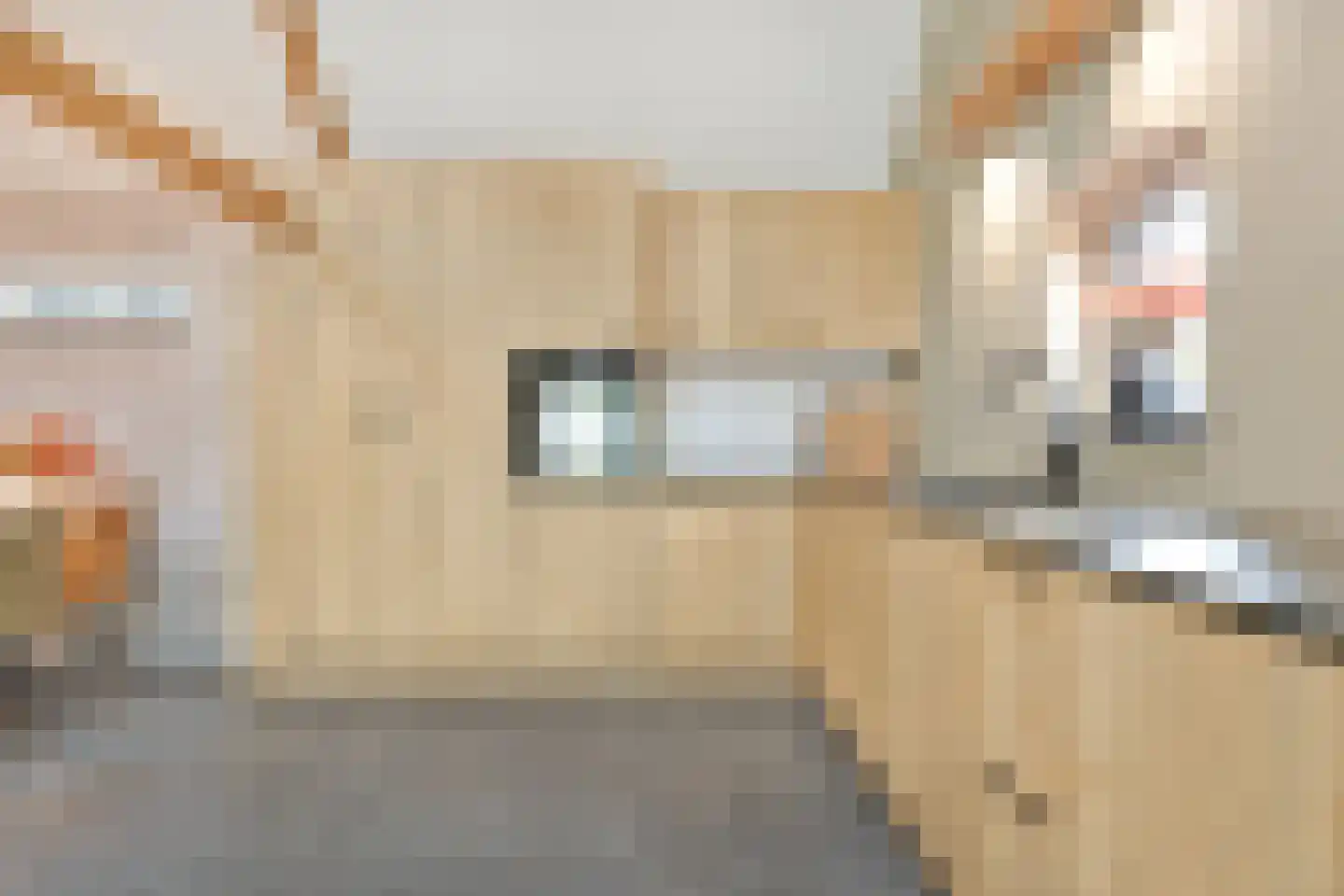 Julianastraat 80 Heikant thumbnail 12