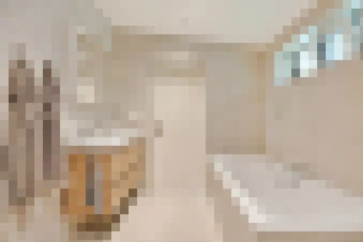 Julianastraat 80 Heikant thumbnail 23