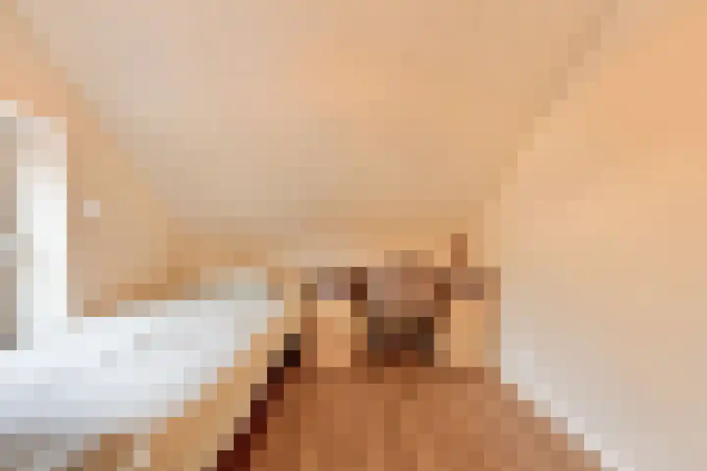 Julianastraat 80 Heikant thumbnail 29
