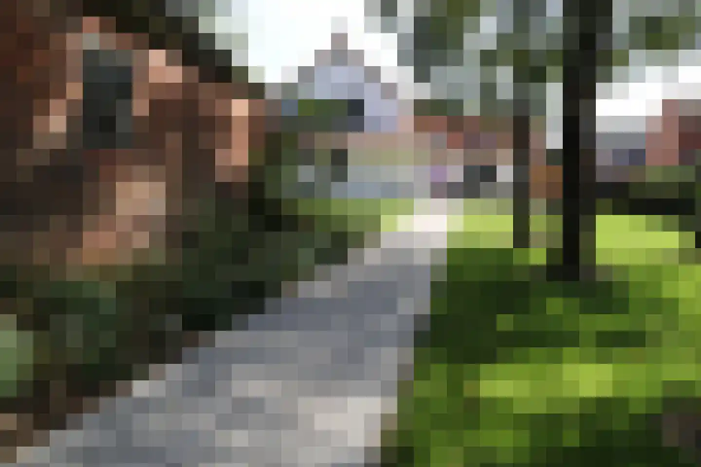 Julianastraat 80 Heikant thumbnail 36