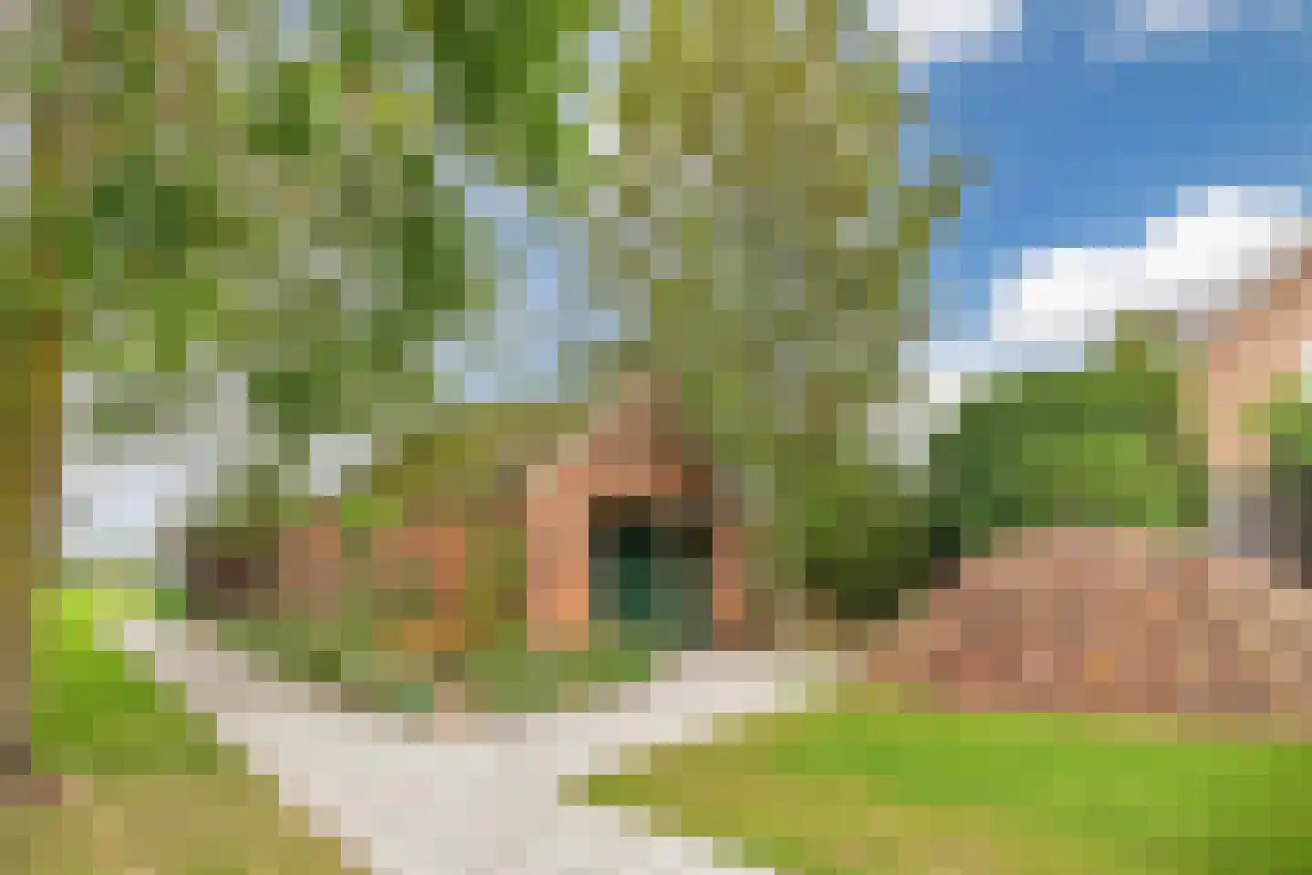 Julianastraat 80 Heikant thumbnail 40