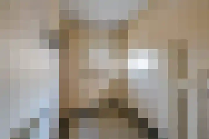 Julianastraat 80 Rijen thumbnail 12