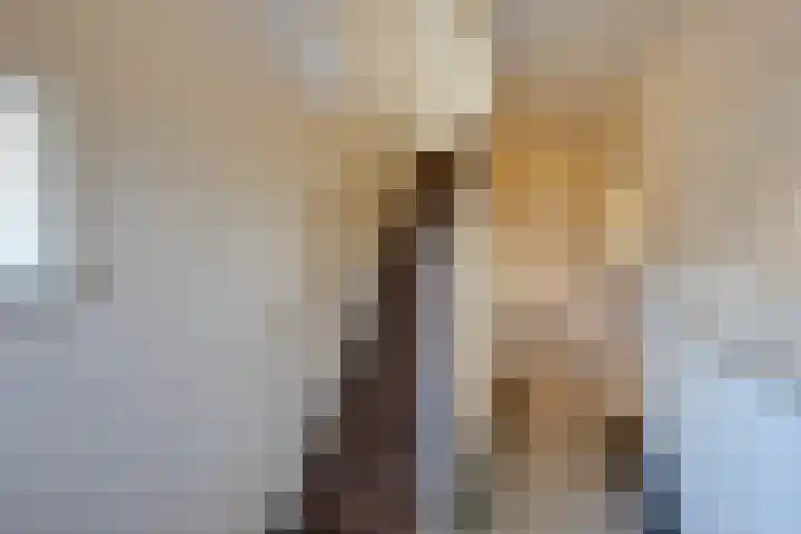 Julianastraat 80 Rijen thumbnail 13