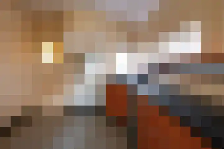 Julianastraat 80 Rijen thumbnail 20