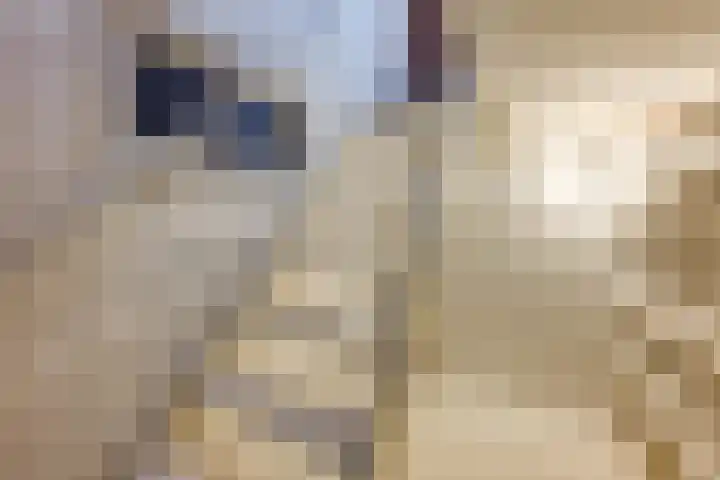 Julianastraat 80 Rijen thumbnail 26