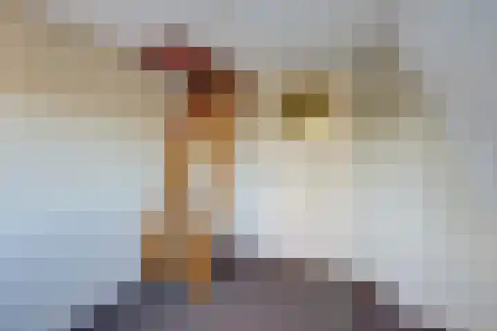Julianastraat 80 Rijen thumbnail 35