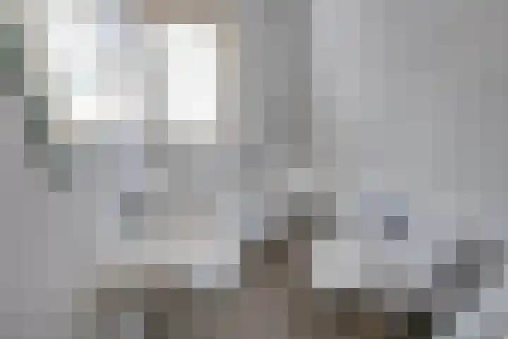 Julianastraat 80 Rijen thumbnail 37