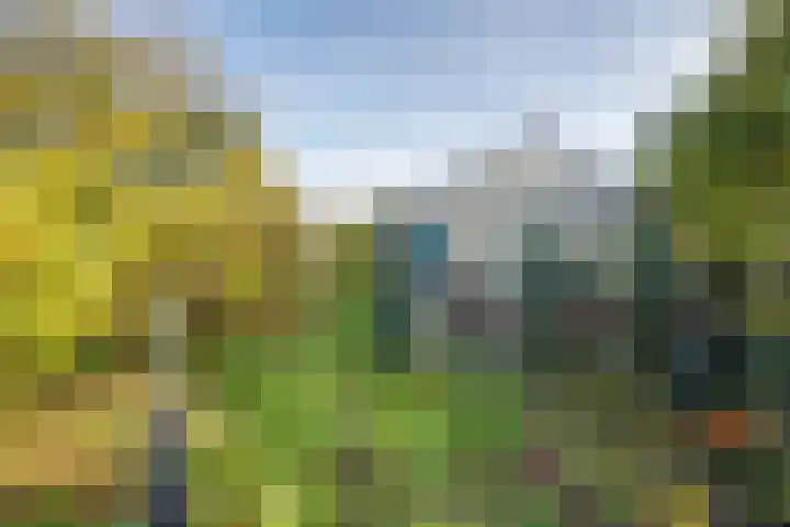 Julianastraat 80 Rijen thumbnail 45
