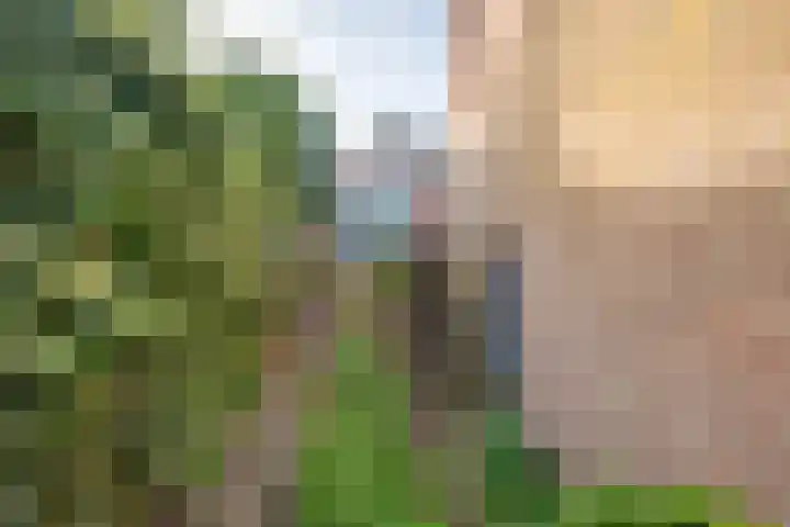 Julianastraat 80 Rijen thumbnail 50