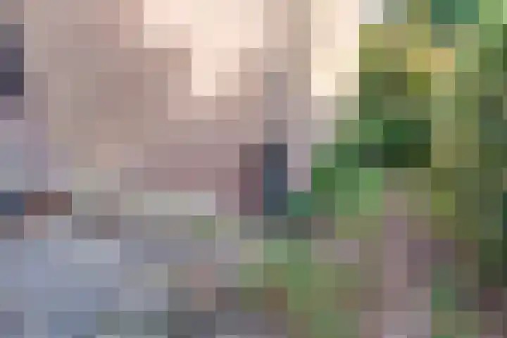 Julianastraat 80 Rijen thumbnail 51