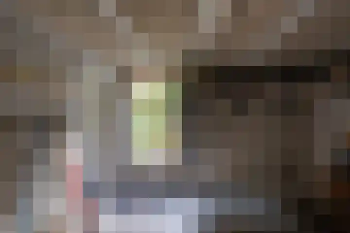 Julianastraat 80 Rijen thumbnail 52