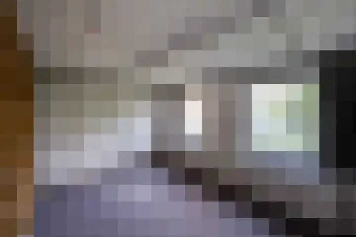Julianastraat 80 Rijen thumbnail 53