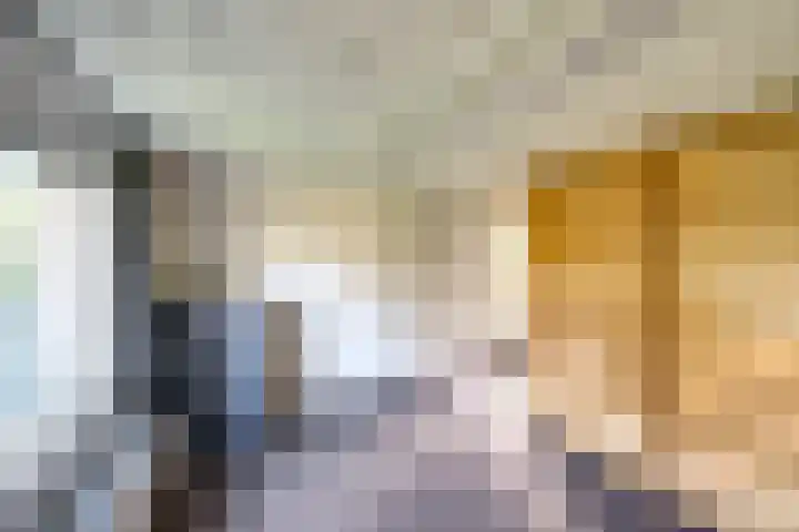 Julianastraat 80 Rijen thumbnail 56