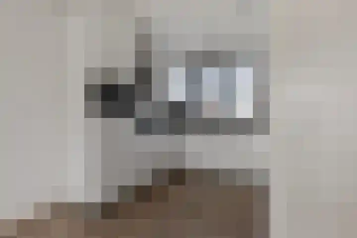 Julianastraat 82 Boekel thumbnail 10