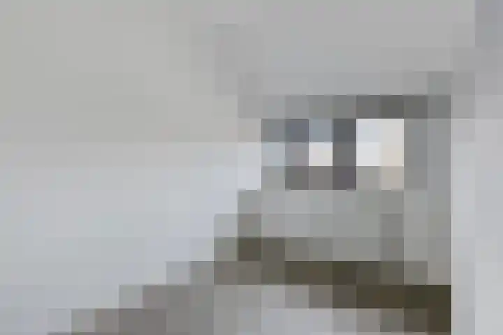 Julianastraat 82 Boekel thumbnail 18