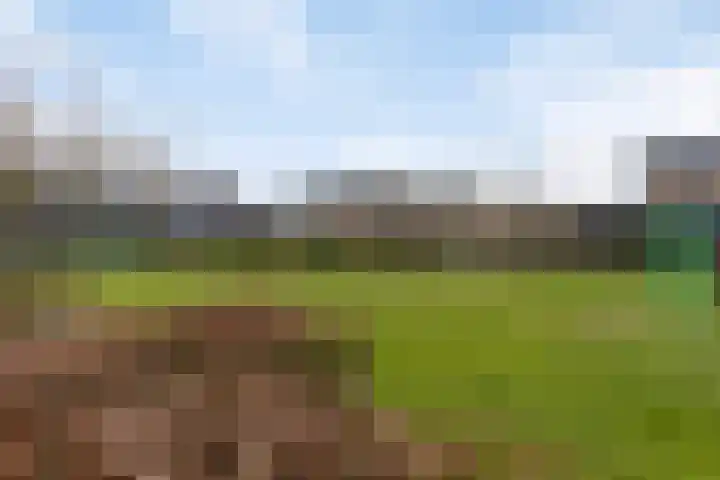 Julianastraat 82 Boekel thumbnail 30