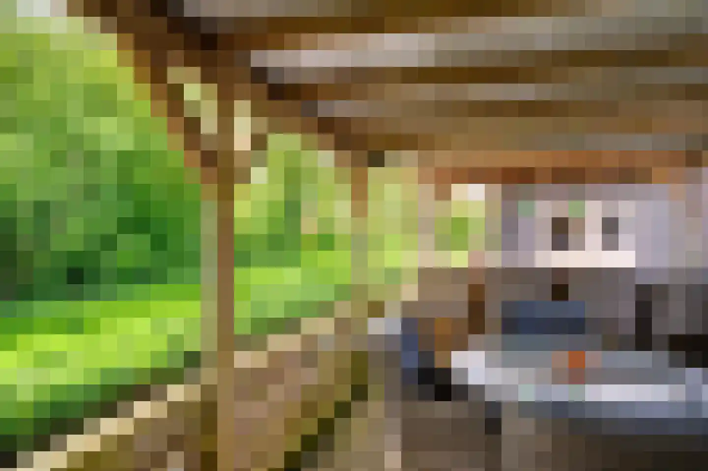Julianastraat 83 Hoogezand thumbnail 27