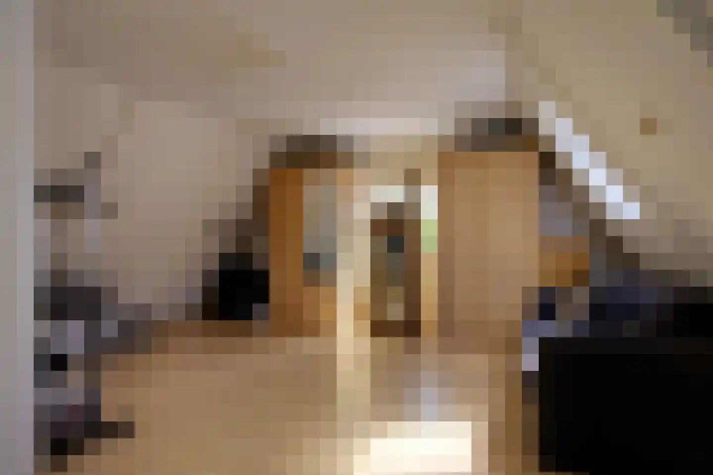 Julianastraat 83 Hoogezand thumbnail 54