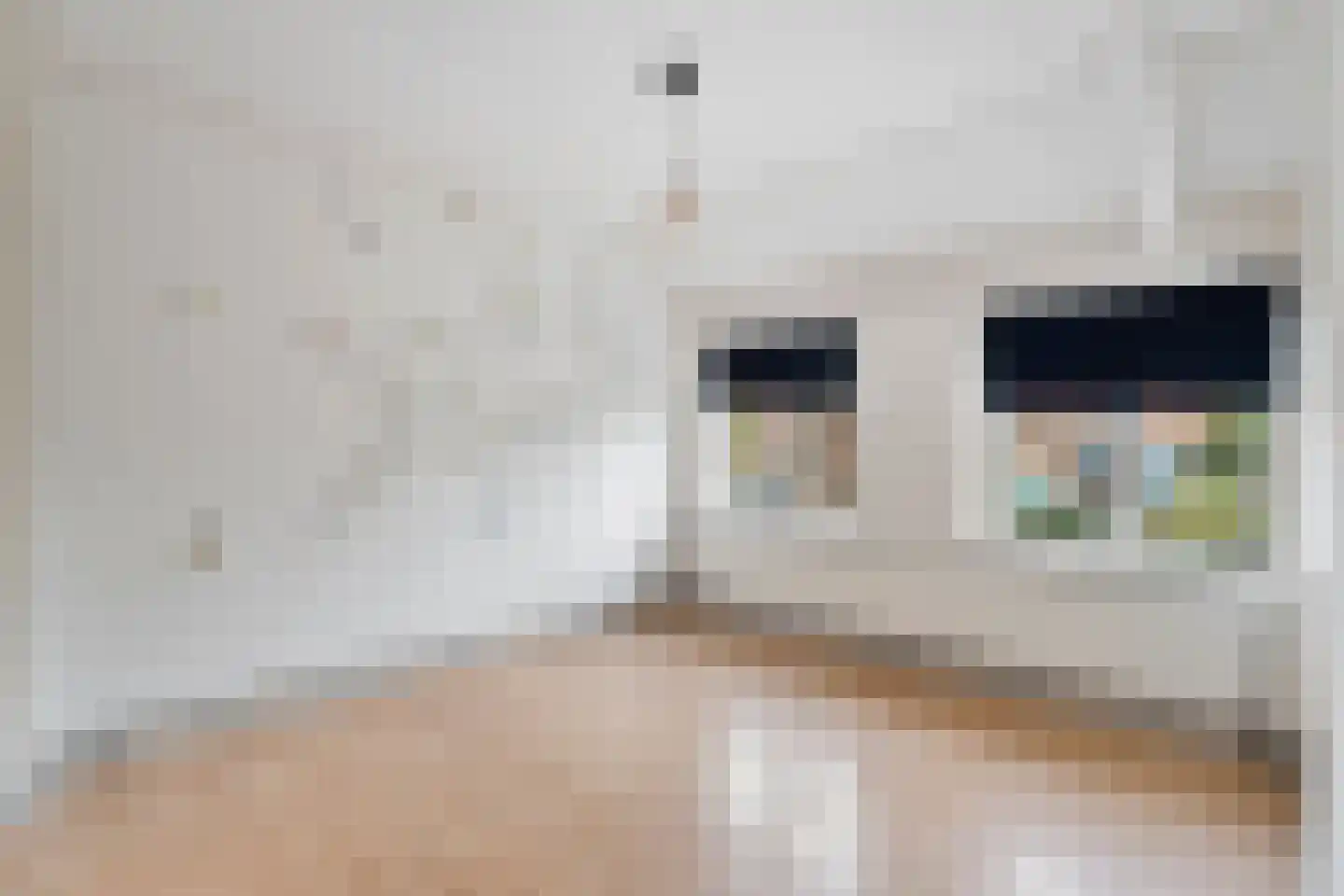 Julianastraat 86 Doesburg thumbnail 23