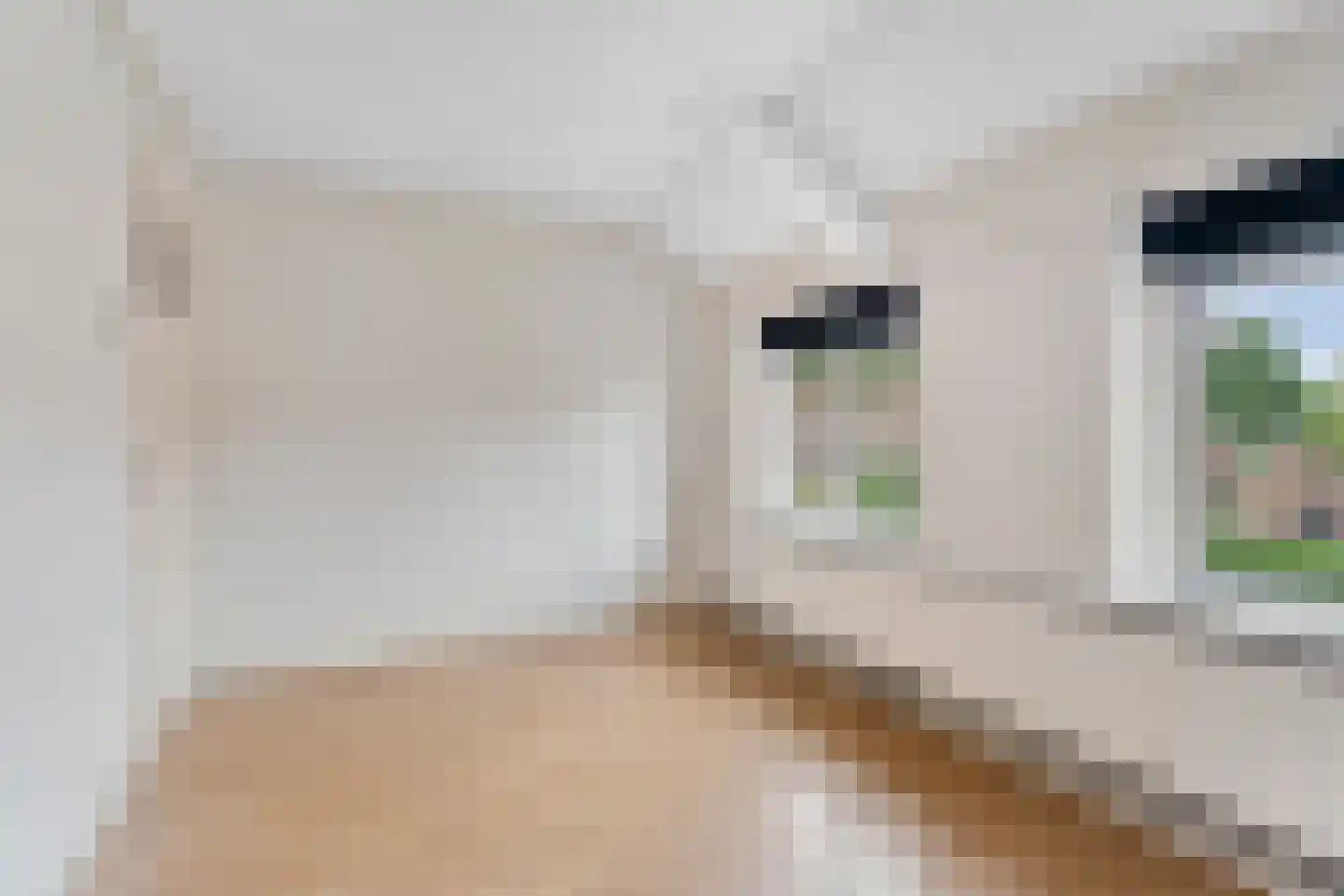 Julianastraat 86 Doesburg thumbnail 26