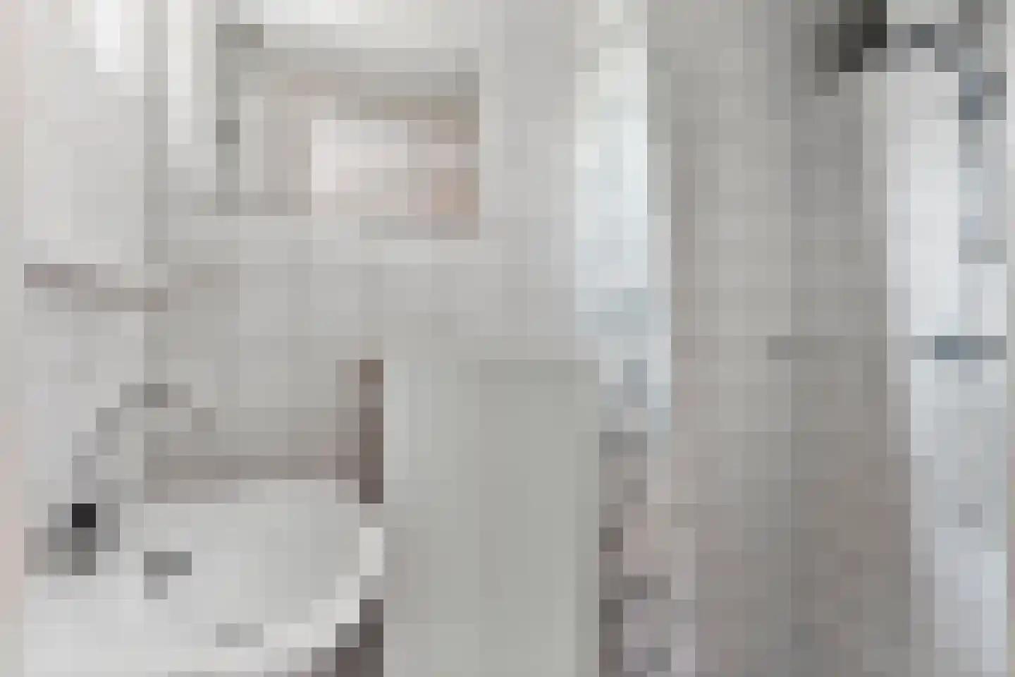 Julianastraat 86 Doesburg thumbnail 30