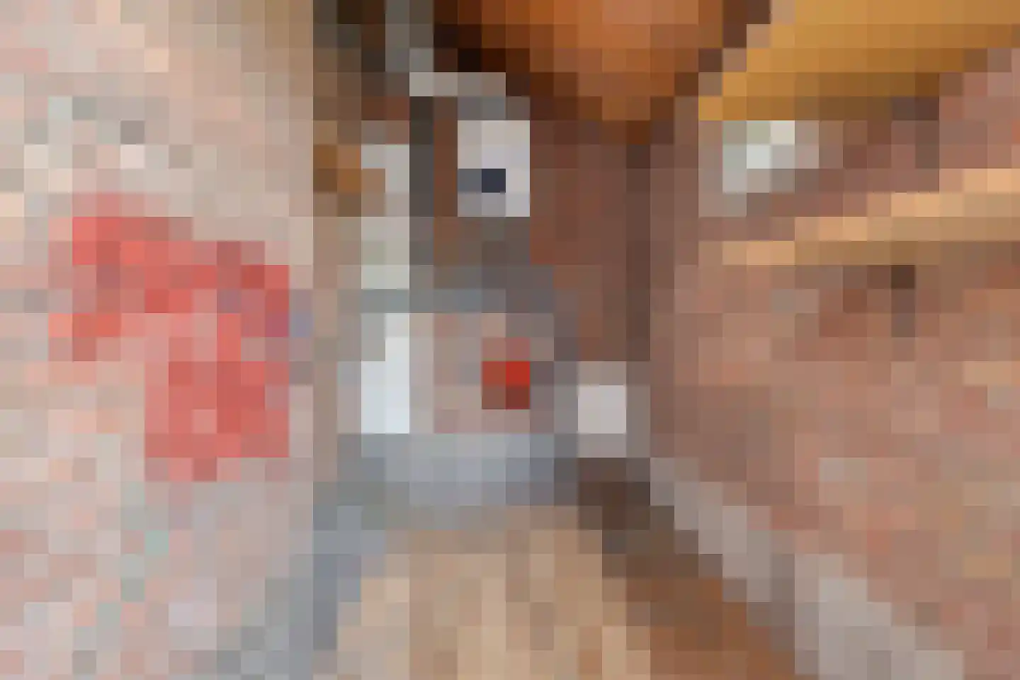 Julianastraat 86 Doesburg thumbnail 34