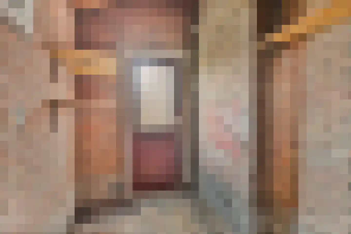 Julianastraat 86 Doesburg thumbnail 35