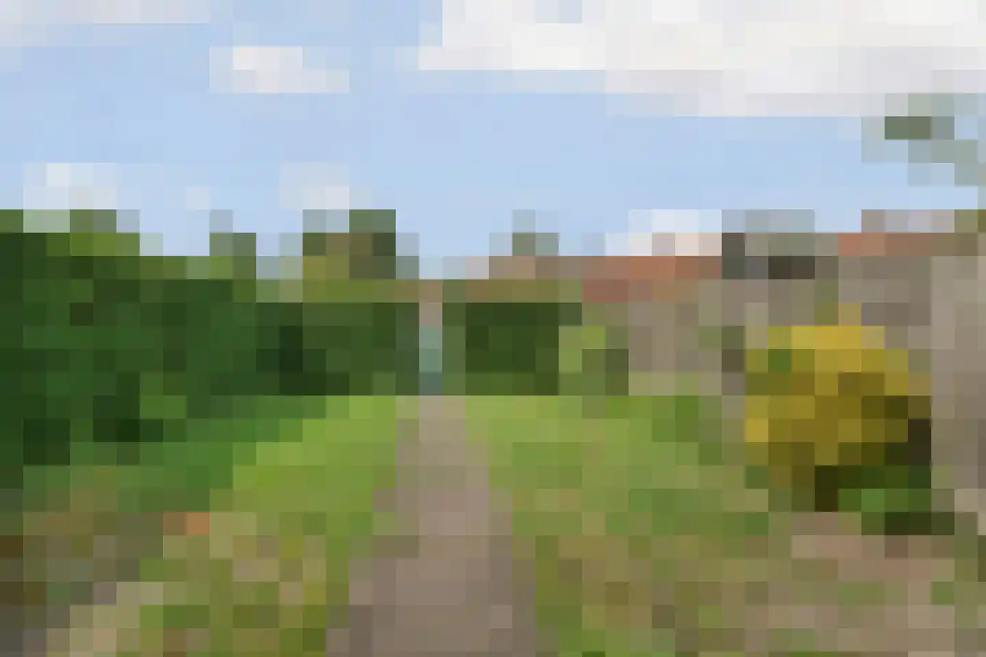 Julianastraat 86 Doesburg thumbnail 38