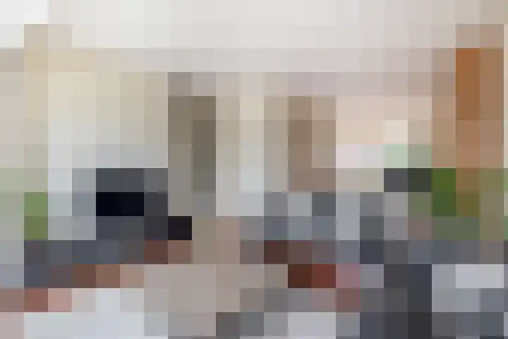 Julianastraat 86 Lekkerkerk thumbnail 12