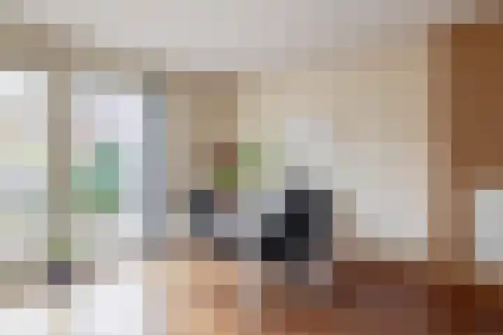 Julianastraat 86 Lekkerkerk thumbnail 16