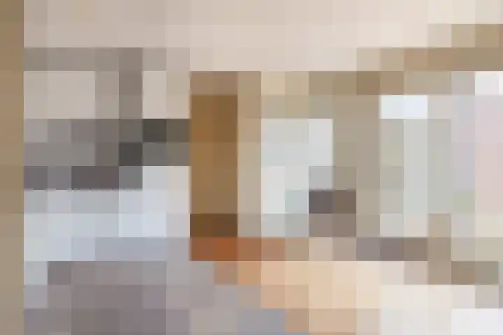 Julianastraat 86 Lekkerkerk thumbnail 19