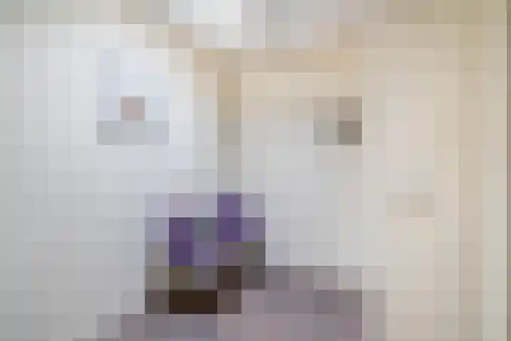 Julianastraat 86 Lekkerkerk thumbnail 29