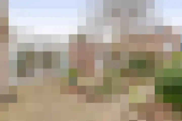 Julianastraat 86 Lekkerkerk thumbnail 42