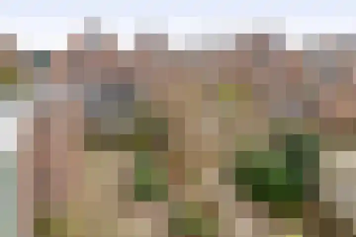 Julianastraat 86 Lekkerkerk thumbnail 43