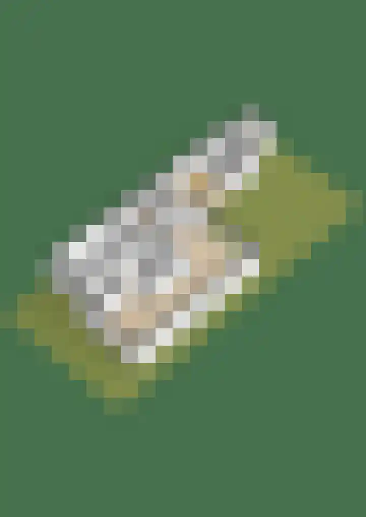 Julianastraat 86 Lekkerkerk thumbnail 45