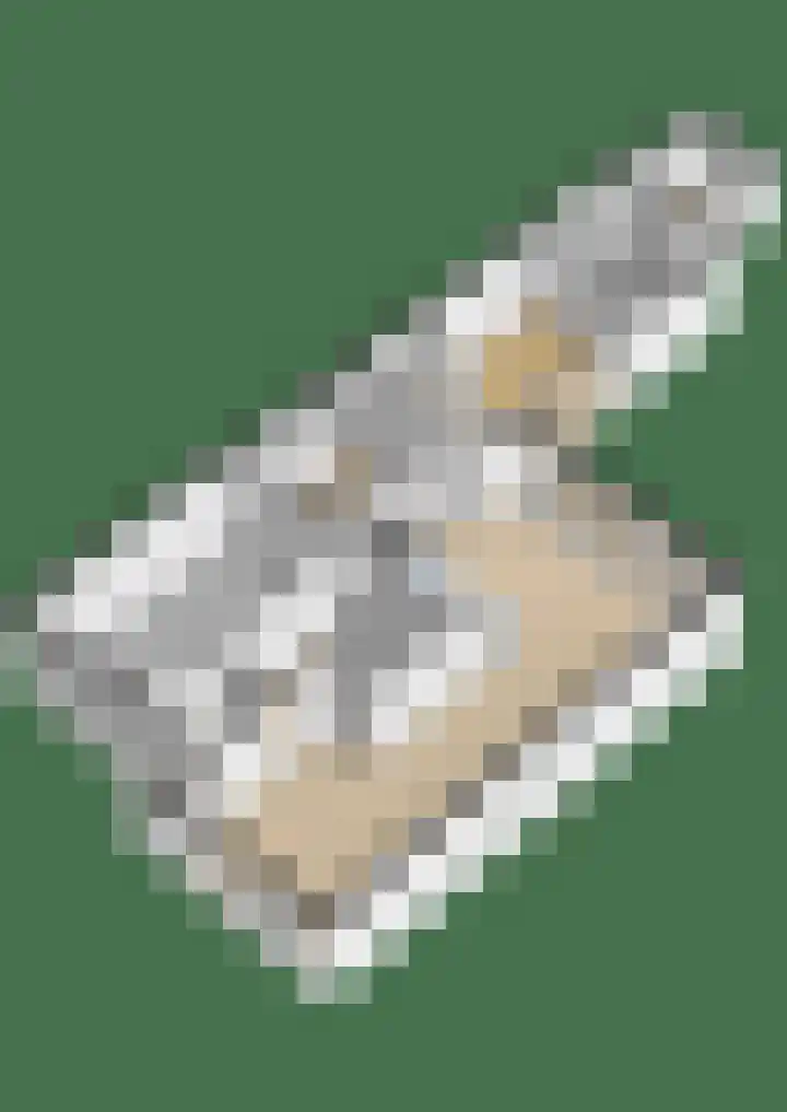 Julianastraat 86 Lekkerkerk thumbnail 47